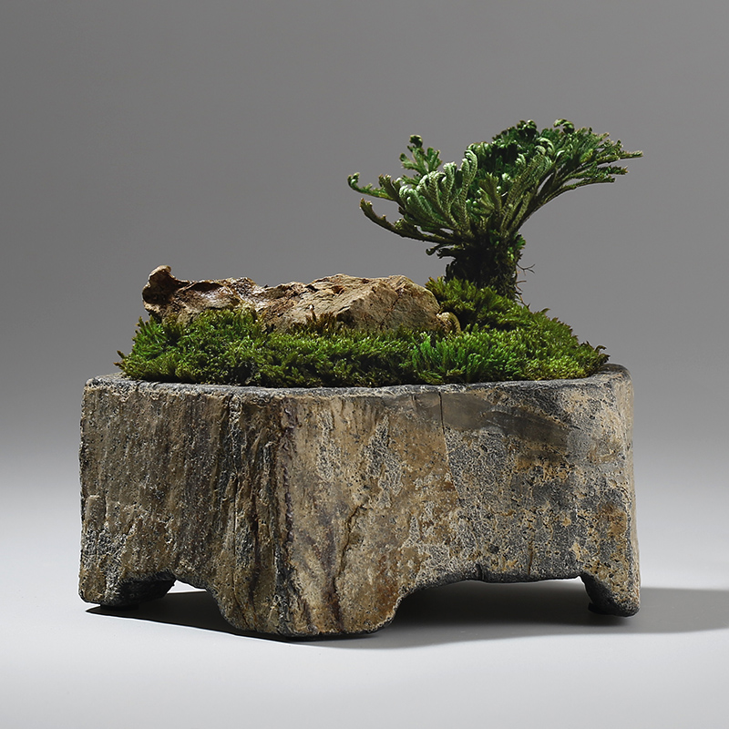Bonsai Garden Indoor - Basalt natuursteen bloempot handgemaakte succulenten plantenbak