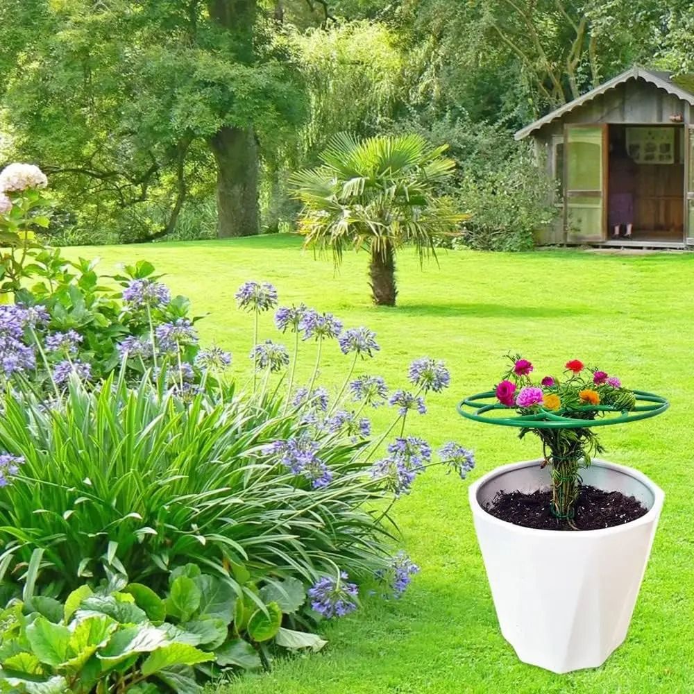 Bonsai Garden Stand - Nieuw S/M/L Bonsai Klimrek Stapelbaar Meerlaags