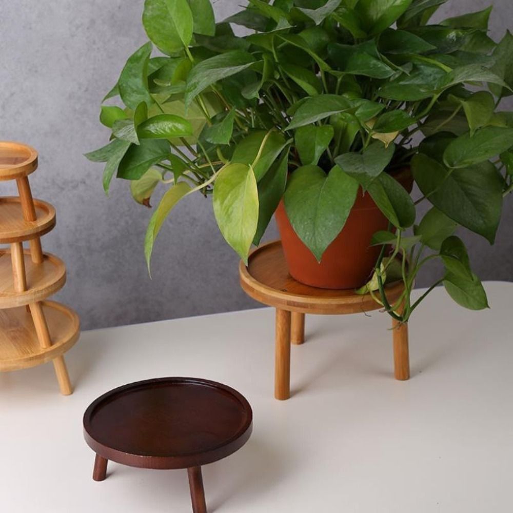 Bonsai Garden Stand - Solide creatieve succulente bloemenvaashouder Home Decor