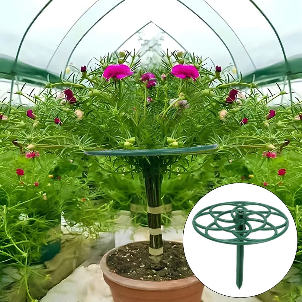 Bonsai Garden Stand - S/M/L Bonsai Klimrek Plastic Meerlaags Plantenkooi