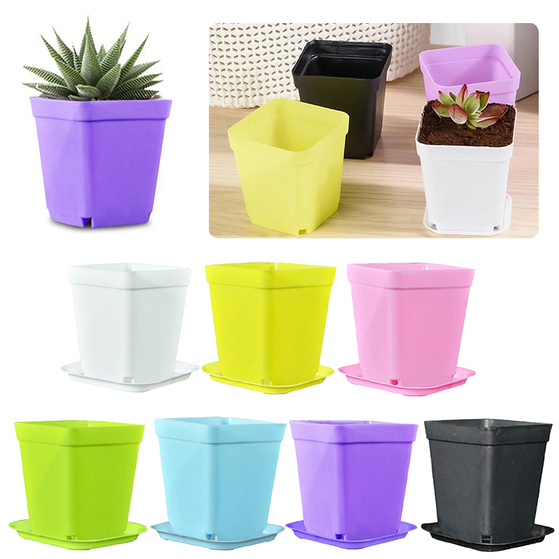 Bonsai Garden Indoor - 6/12/24 STUKS Willekeurige Kleuren Vierkante Plastic