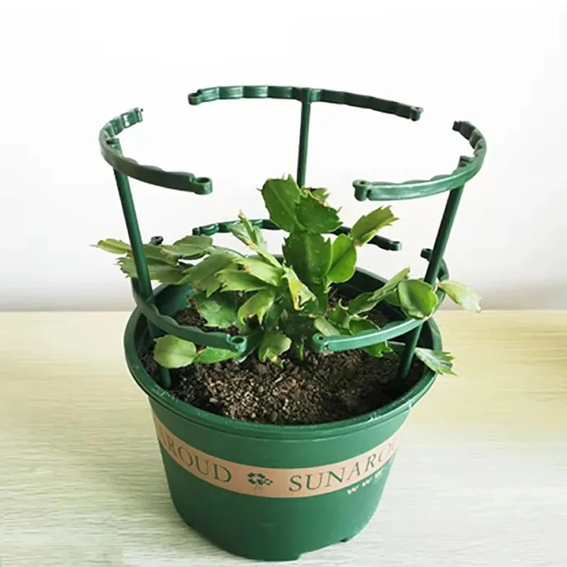 4 STUKS Plastic Plant Onderste - Bonsai Garden Stand recensie en prijs