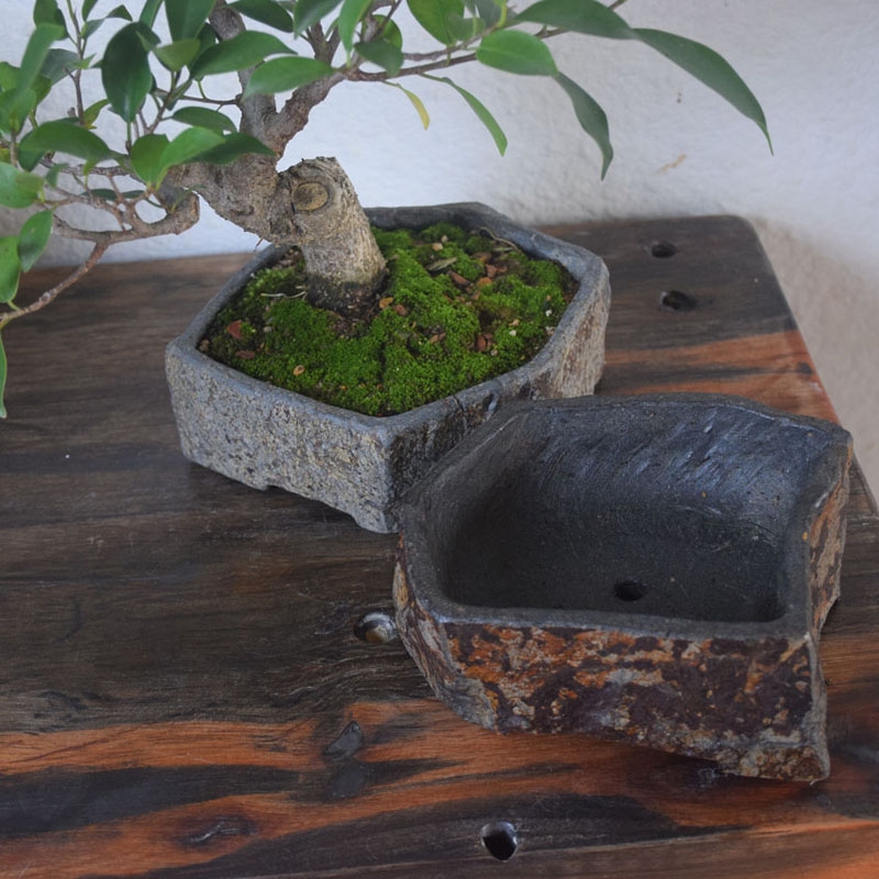 Basalt natuursteen bloempot ha - Bonsai Garden Indoor recensie en prijs