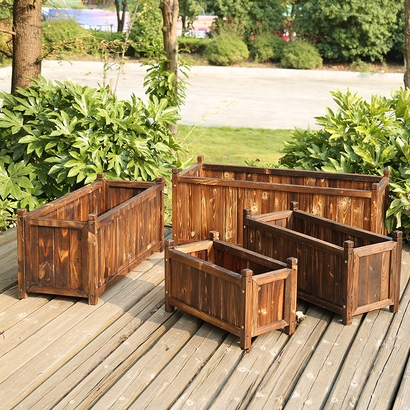 Creëren Een Balkon Kleine Tuin - Bonsai Garden Indoor recensie en prijs
