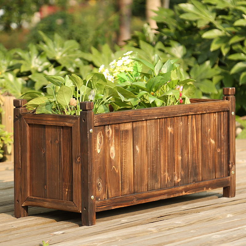 Creëren Een Balkon Kleine Tuin - Bonsai Garden Indoor recensie en prijs