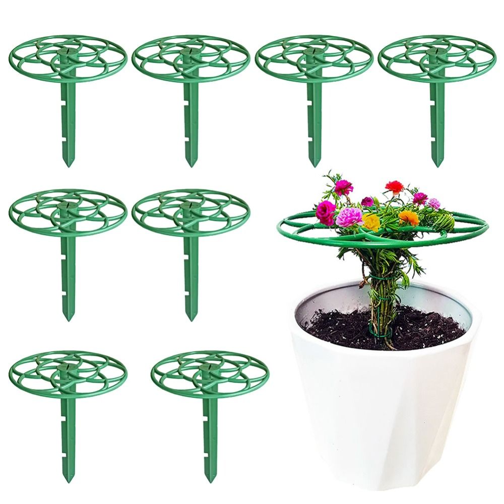 S/M/L Bonsai Klimrek Plastic S - Bonsai Garden Stand recensie en prijs