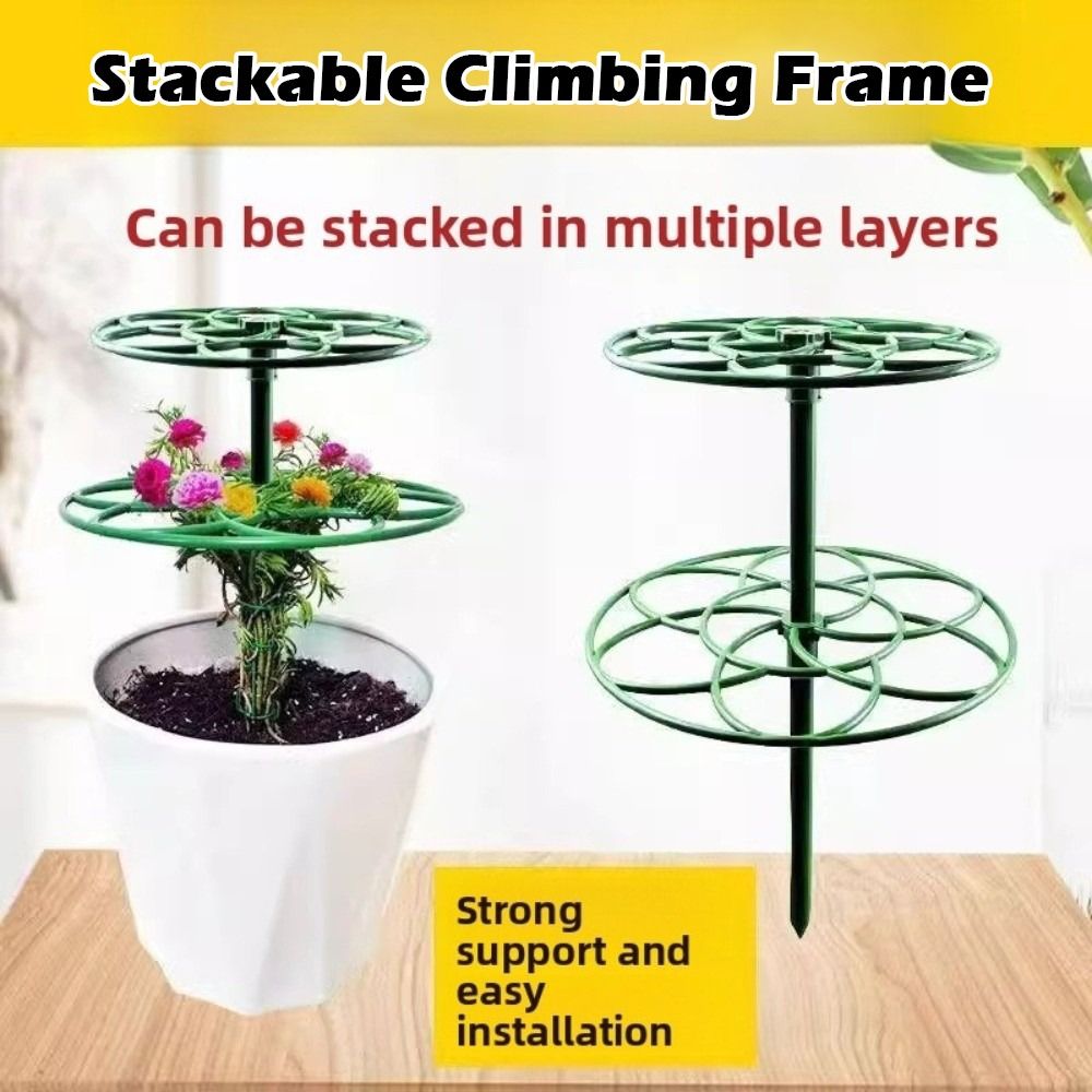 S/M/L Bonsai Klimrek Plastic S - Bonsai Garden Stand recensie en prijs