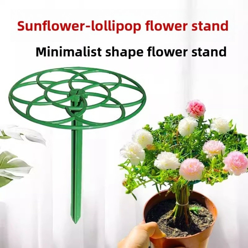 S/M/L Bonsai Klimrek Plastic S - Bonsai Garden Stand recensie en prijs