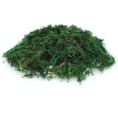 1Pack Natuurlijk ogend nepmosd - Bonsai Garden Indoor recensie en prijs