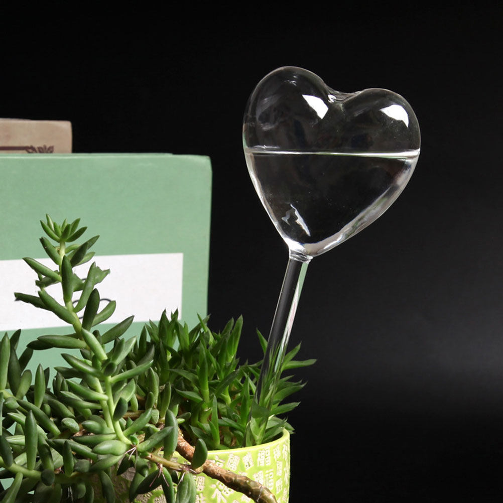 3 stuks hartvormige glazen zel - Bonsai Garden Indoor recensie en prijs