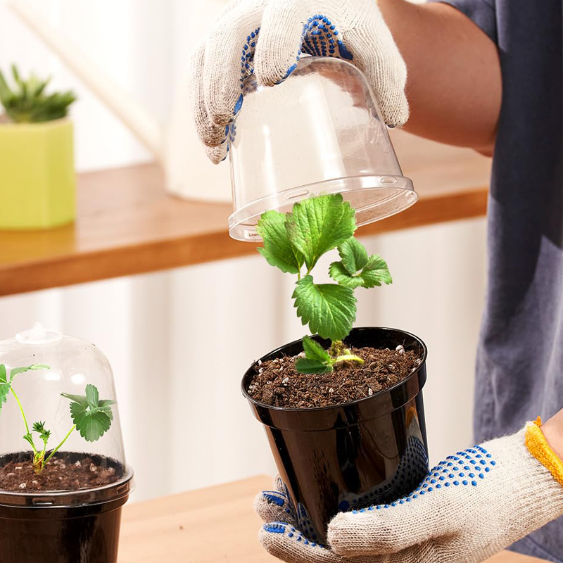 Kweekpotten Bloempotten Tuinie - Bonsai Garden Indoor recensie en prijs
