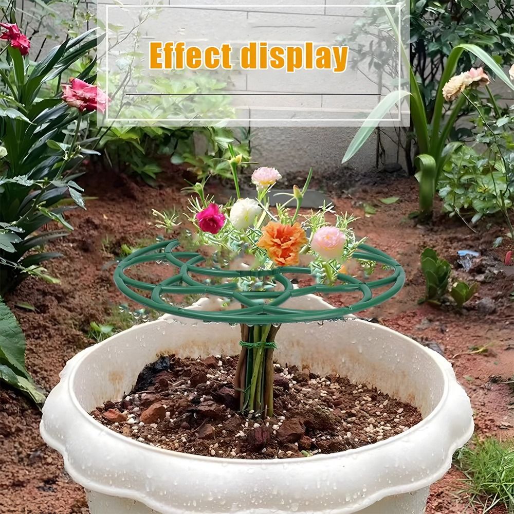 S/M/L Plastic Tuin Stapelbaar  - Bonsai Garden Stand recensie en prijs
