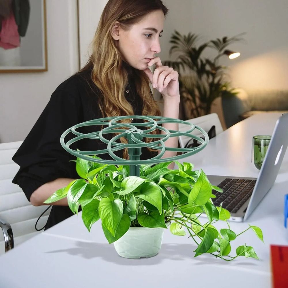 Duurzaam S/M/L Bonsai Klimrek  - Bonsai Garden Stand recensie en prijs