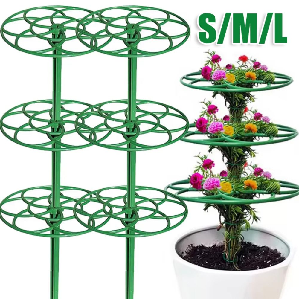 Duurzaam S/M/L Bonsai Klimrek  - Bonsai Garden Stand recensie en prijs