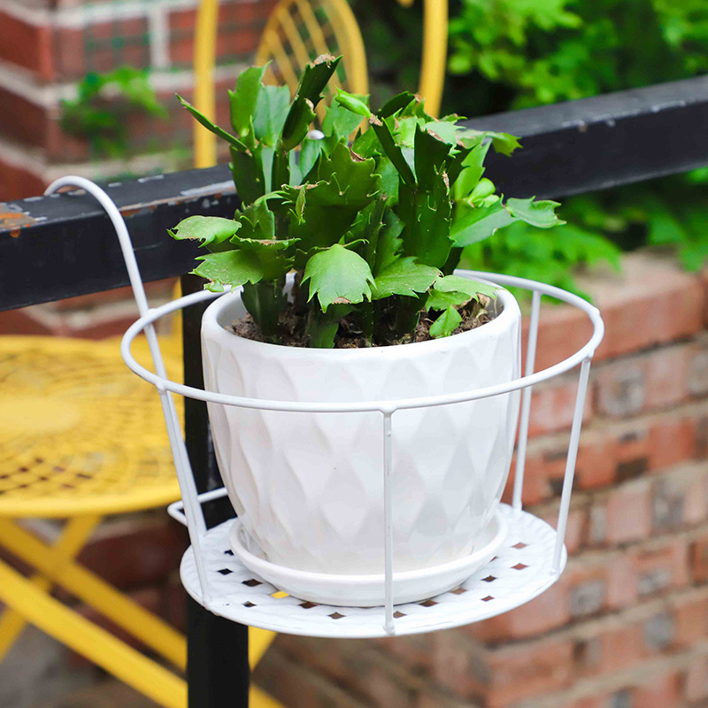 1PC Tuinpotten Buiten Raam Bon - Bonsai Garden Stand recensie en prijs