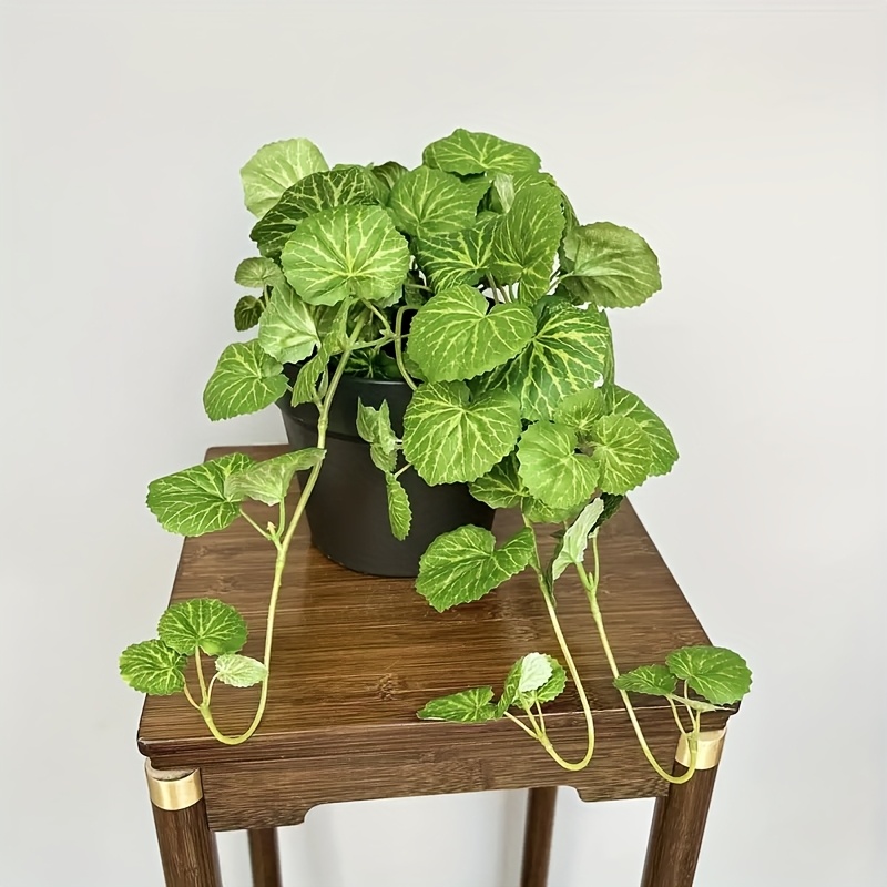 Een kunstmatige hangende winge - Bonsai Garden Indoor recensie en prijs