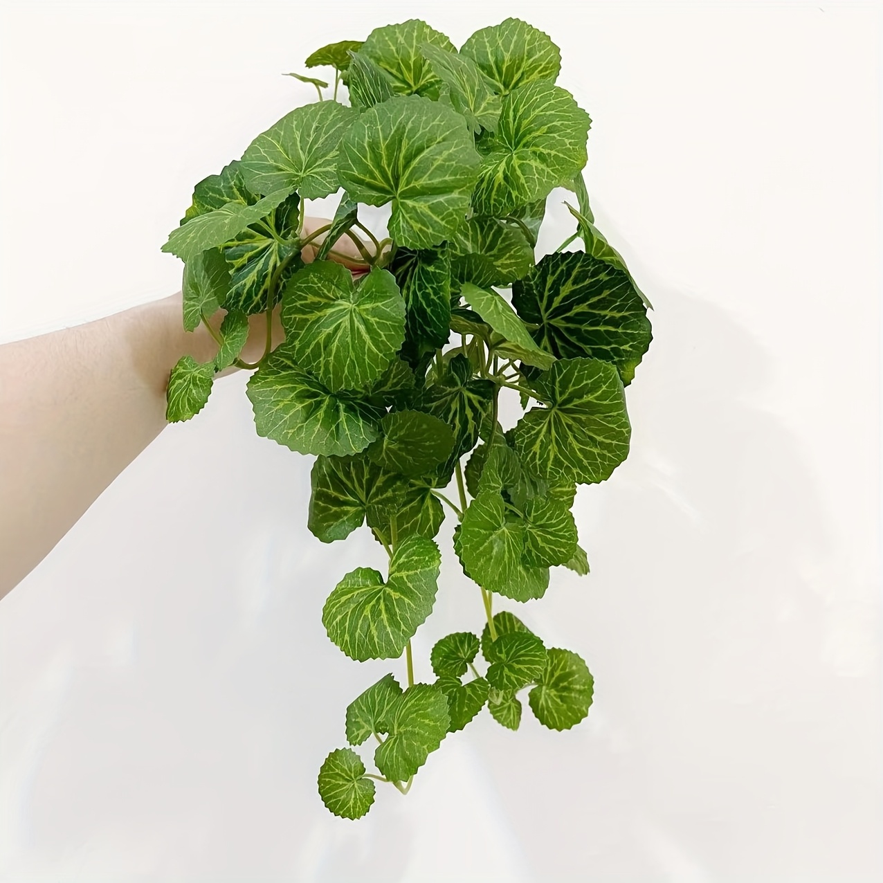 Een kunstmatige hangende winge - Bonsai Garden Indoor recensie en prijs