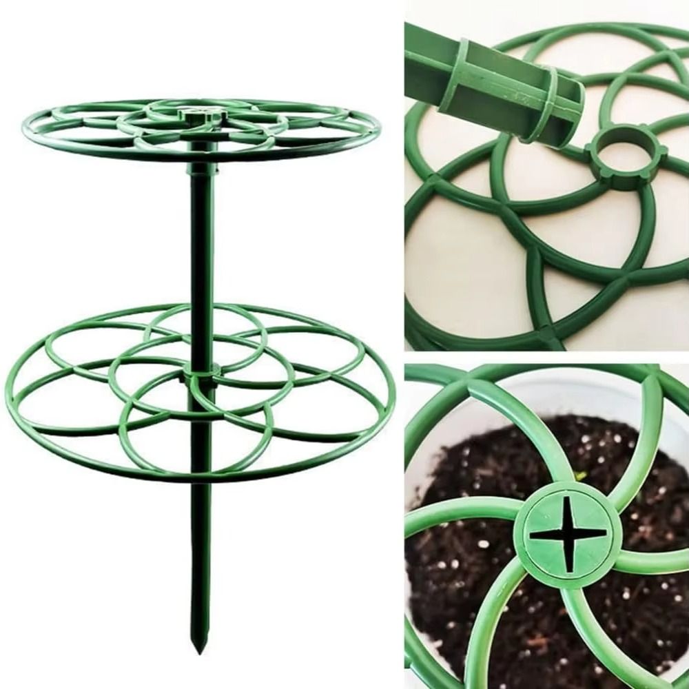 S/M/L Bonsai Klimrek Plastic M - Bonsai Garden Stand recensie en prijs