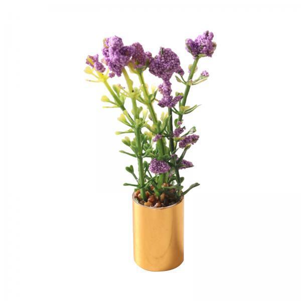 Miniatuur potplant ornament 1: - Bonsai Garden Display recensie en prijs