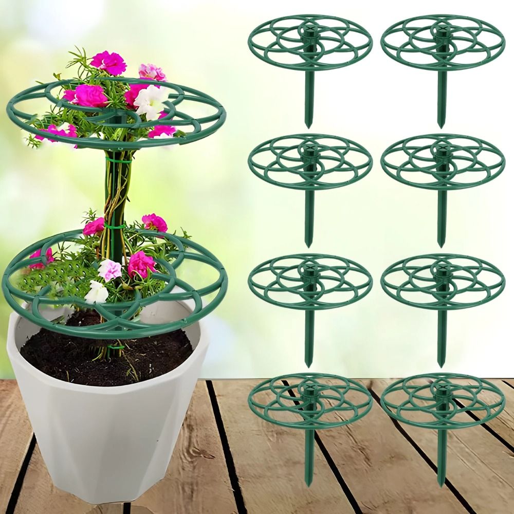 Nieuwe S/M/L Bonsai Klimrek Pl - Bonsai Garden Stand recensie en prijs