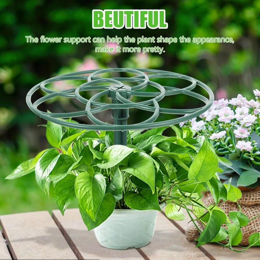 Nieuwe S/M/L Bonsai Klimrek Pl - Bonsai Garden Stand recensie en prijs