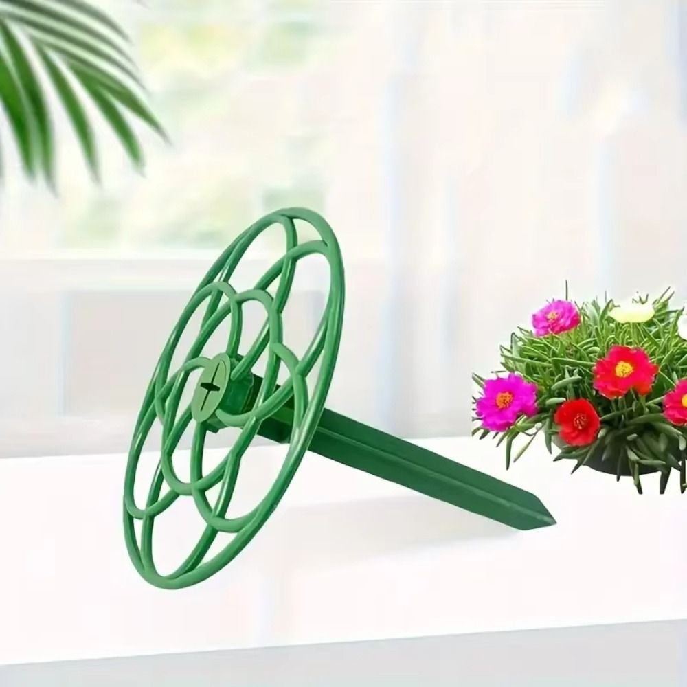 Nieuwe S/M/L Bonsai Klimrek Pl - Bonsai Garden Stand recensie en prijs