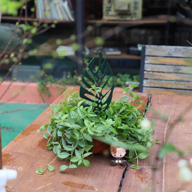 Plant Klimmen Ondersteuning St - Bonsai Garden Stand recensie en prijs